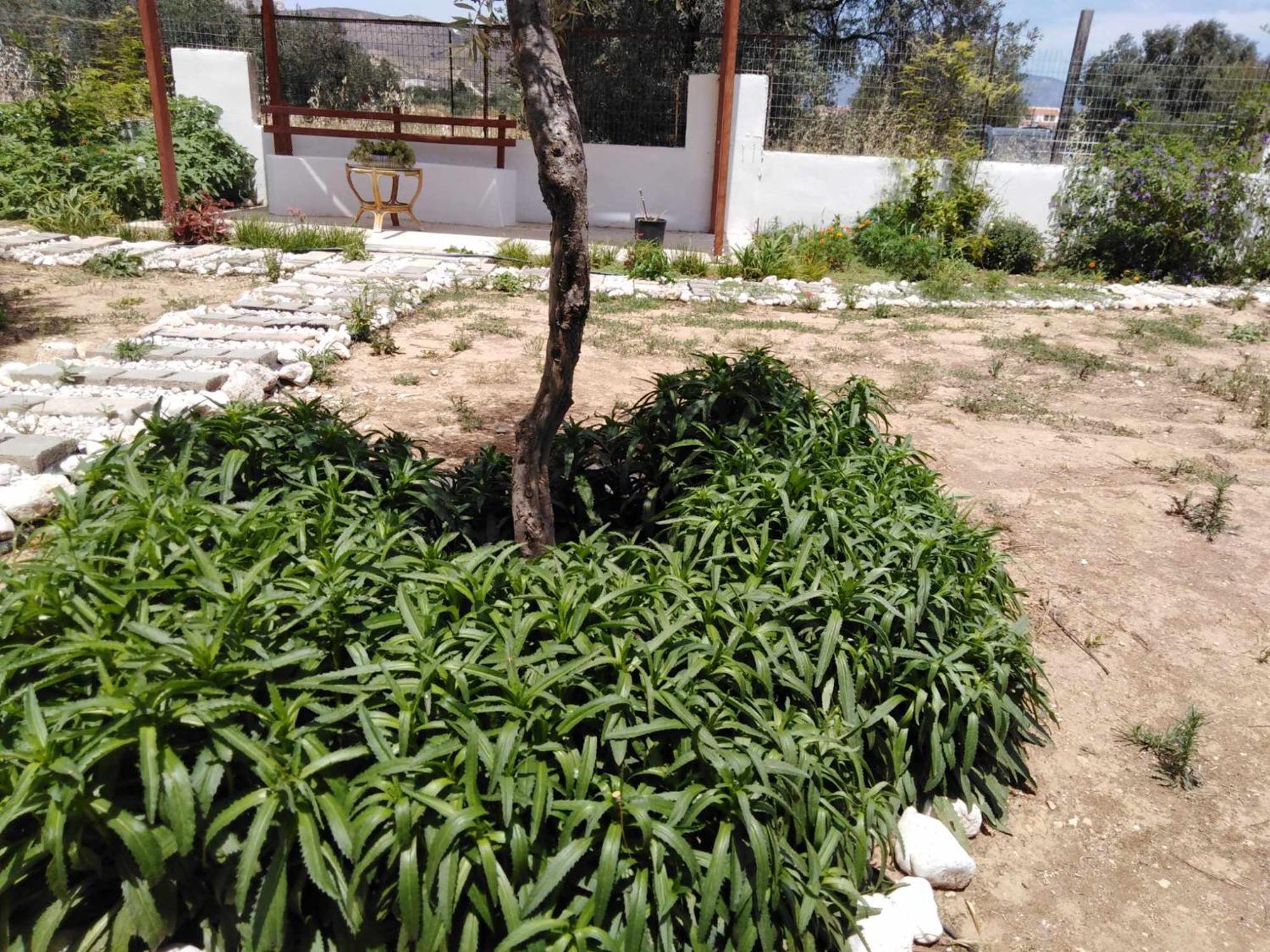 Apartamento Alexadra'S House Κάτω Αλμυρή Exterior foto